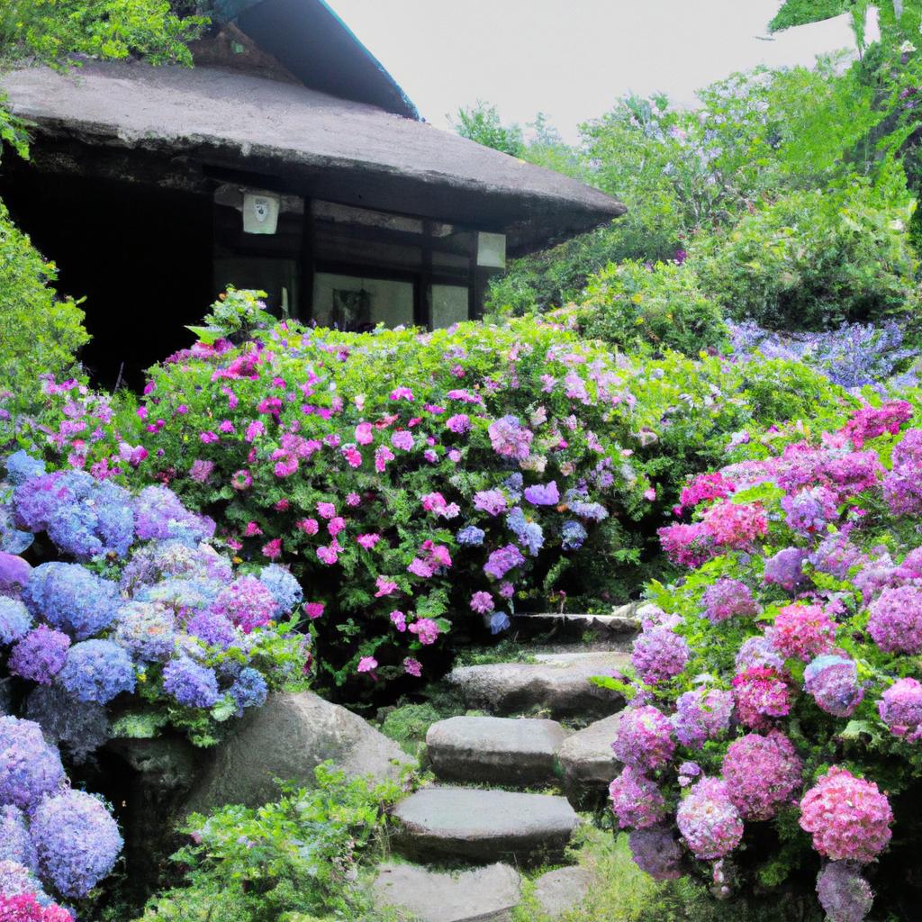 色とりどりの紫陽花で心安らぐ宿泊体験を
