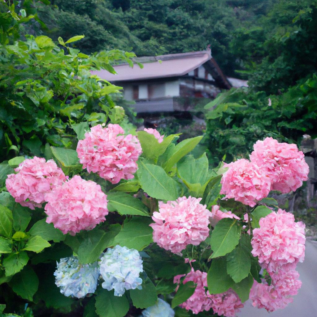 問い合わせ＆予約